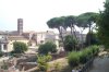 Photo 005